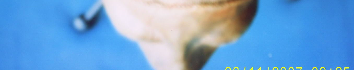 Imagen de portada