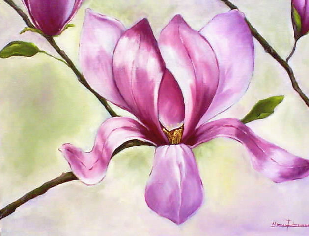 flor magnolio Oil Canvas Floral Painting