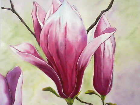 Flor de magnolio