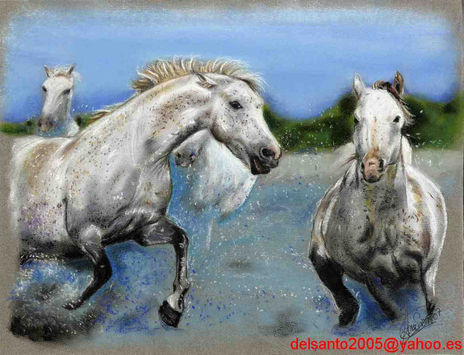 Caballos