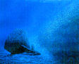Movimiento 22- Fin