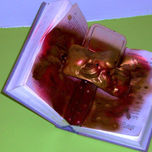 Libros voladores thumbnail 1