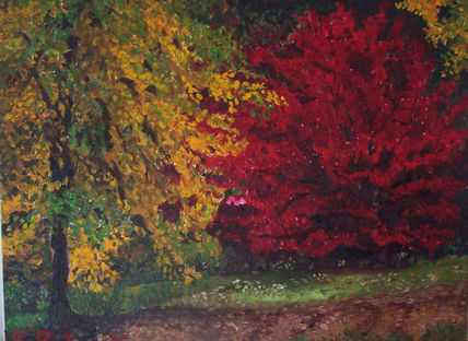 Color de natura