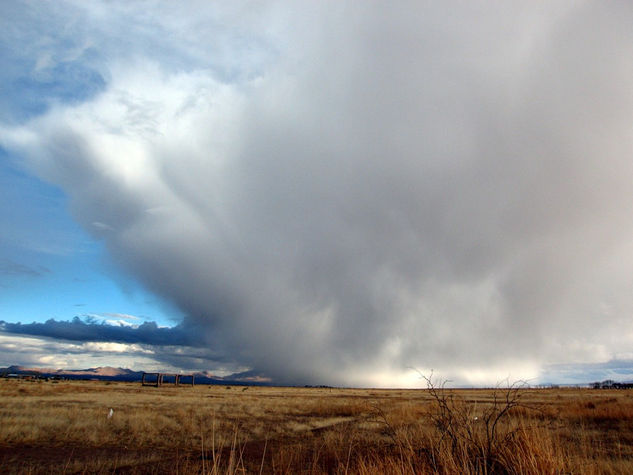 Tormenta de Nieve 