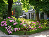 El Jardín Botánico