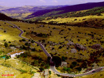 Carretera sinuosa