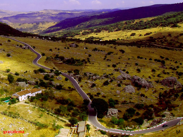 carretera sinuosa 