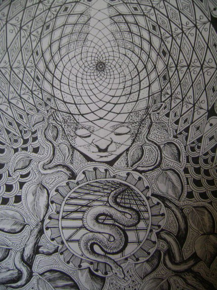 Vision