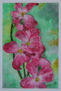 serie flores 1