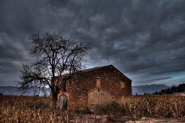 la casa del maiz Naturaleza Color (Digital)