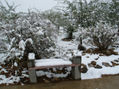 solo frio y nieve