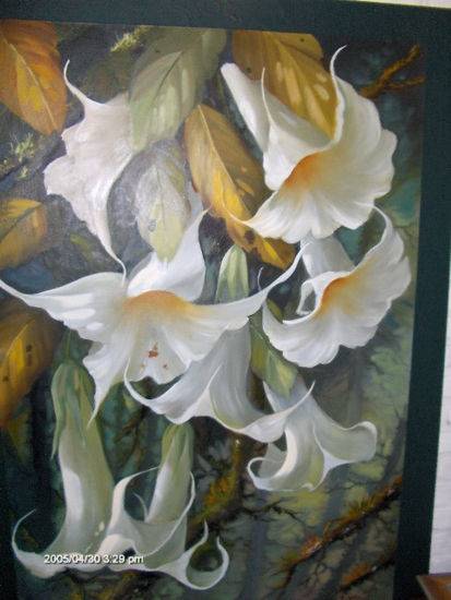 borrachero Oil Canvas Floral Painting