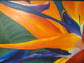 heliconia