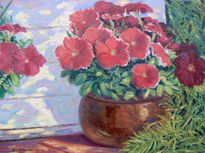 Petunias.