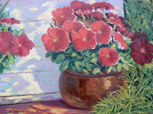 Petunias.