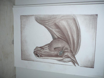 Caballo