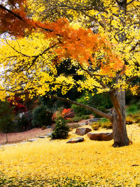 Bendiciones de otoño