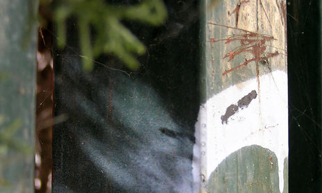 Naturaleza urbana