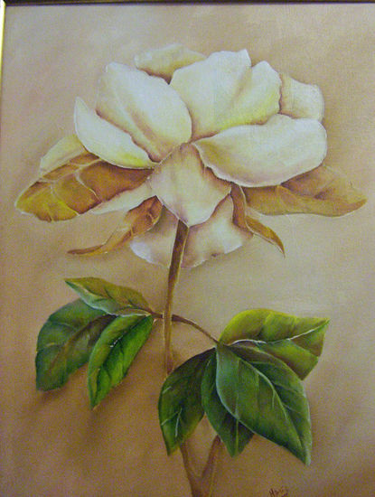 magnolia Oil Canvas Landscaping