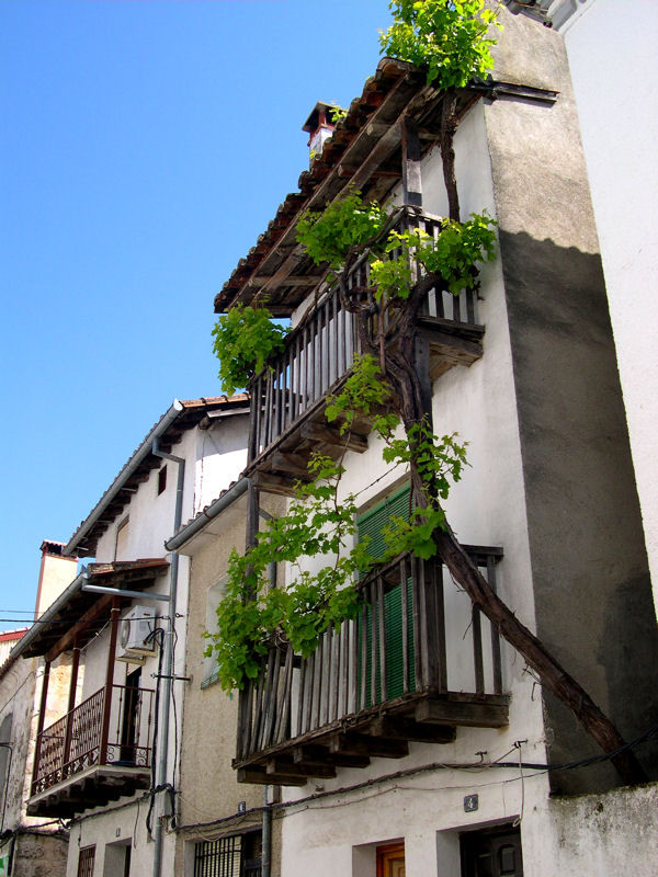 La Parra y la Casa
