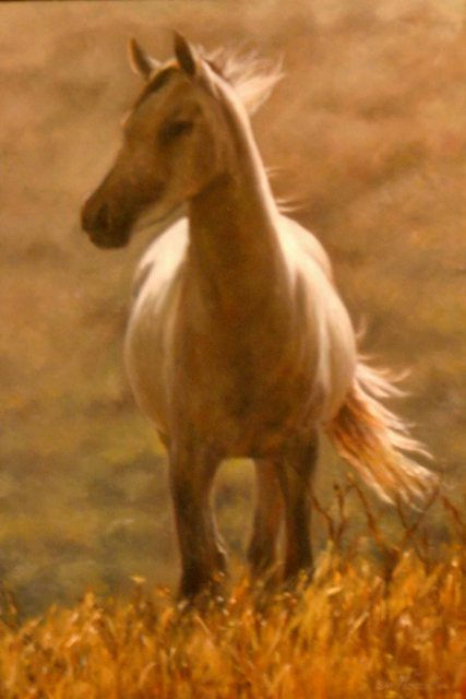 SALVAJE AL VIENTO