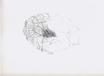 Estructura 3