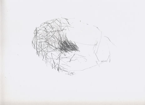 Estructura 3