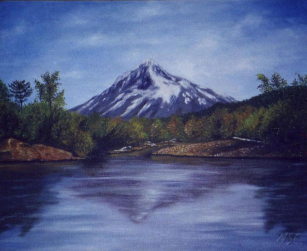 Lanín Oil Canvas Landscaping