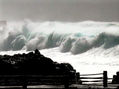 Tsunami