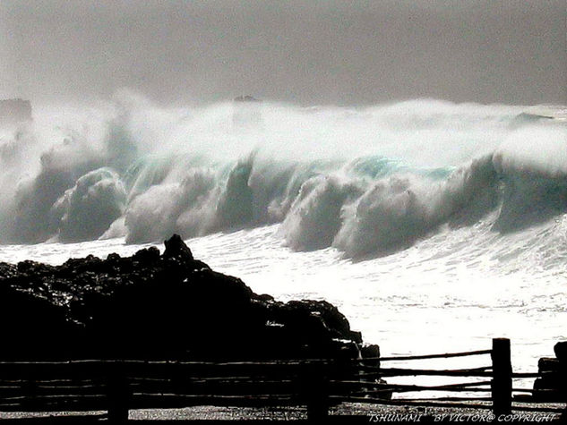 Tsunami 