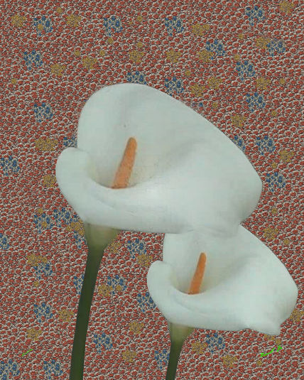 Lirios