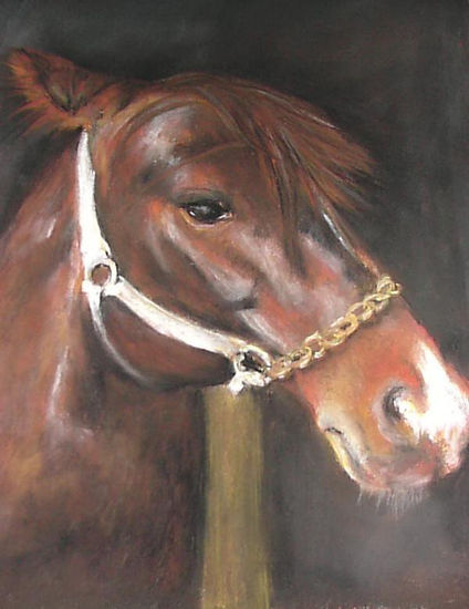 caballo Pastel Canvas Animals