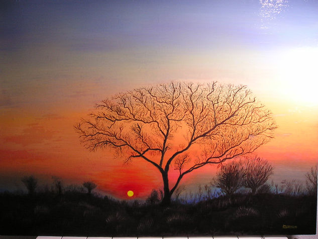 anochece en áfrica Oil Canvas