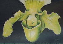 Orquidea 4