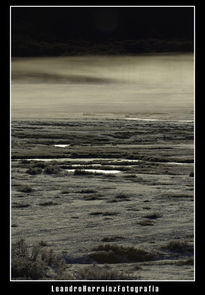 Niebla sobre el valle