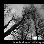 Paisajes thumbnail 1