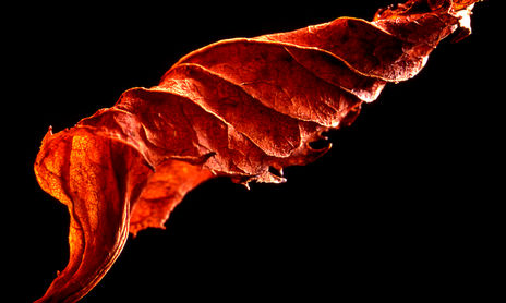 Otoño