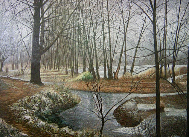 rio carrión (palencia) 140x110