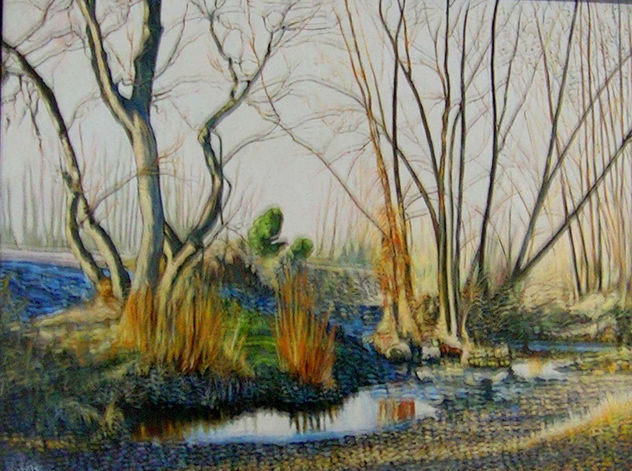 Rincón (Rio Carrión) Palencia