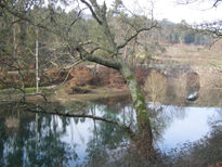 Terras de Bouro