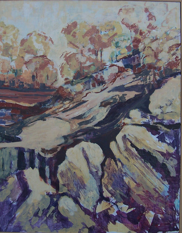 rocas y pinos