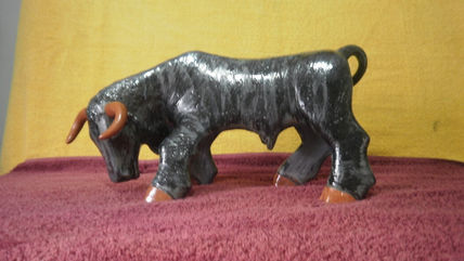 Toro negro