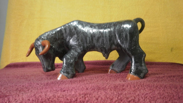 toro negro