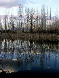 Espejo en el agua