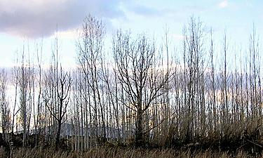 Naturaleza