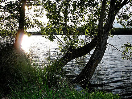 Naturaleza