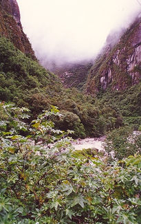 Andes exótico