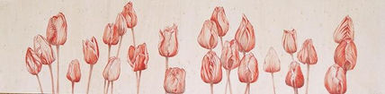 Tulipanes