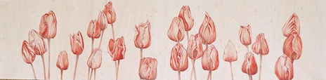 Tulipanes