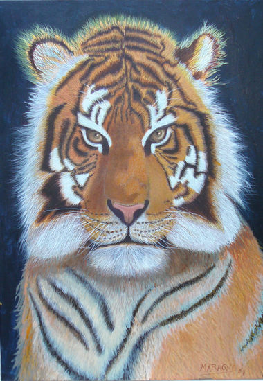 Tigre1 